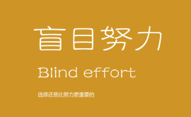 我不反對努力,但我反對盲目的努力